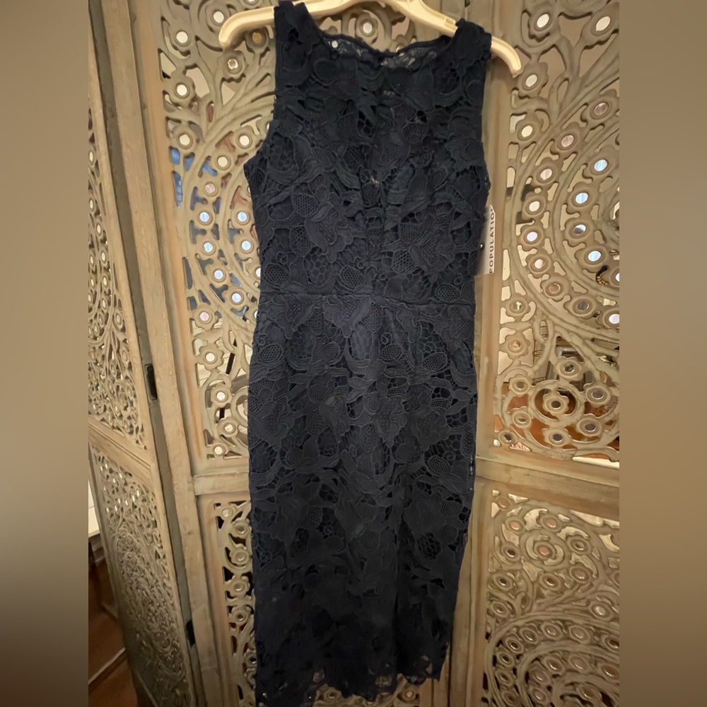 Dress The Population Lace Dress